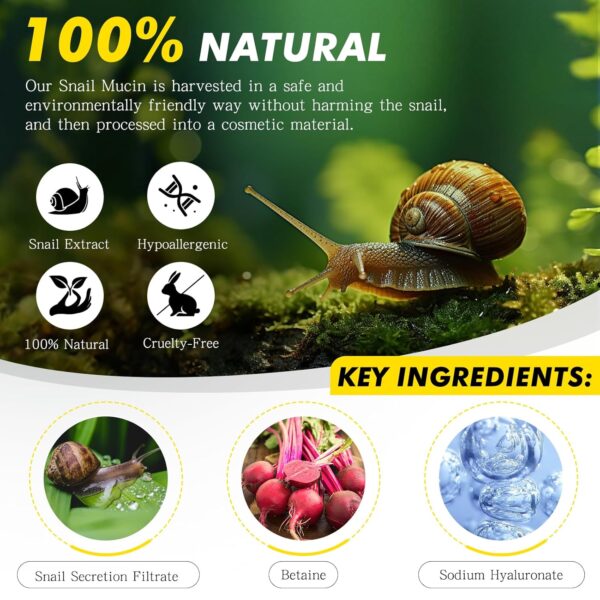 COSRX Advanced Snail 92 All in one Cream - Image 3